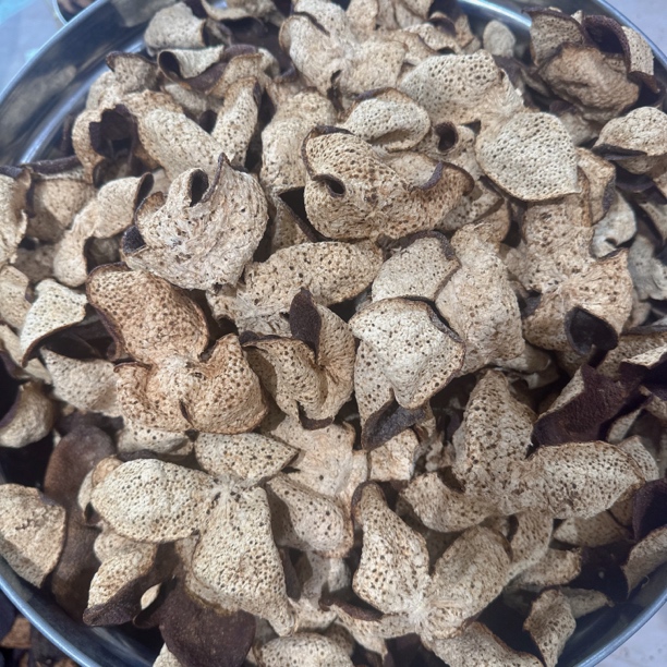 【大油包/浓花蜜梅子香】2020年西甲圈枝大红皮