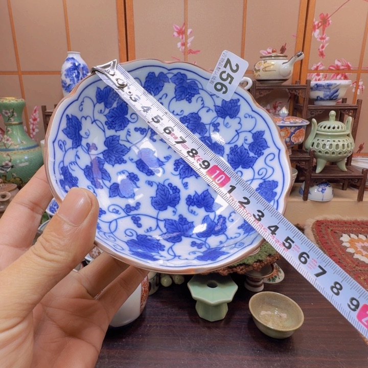 碗256啊啊啊啊啊啊啊啊啊啊啊啊