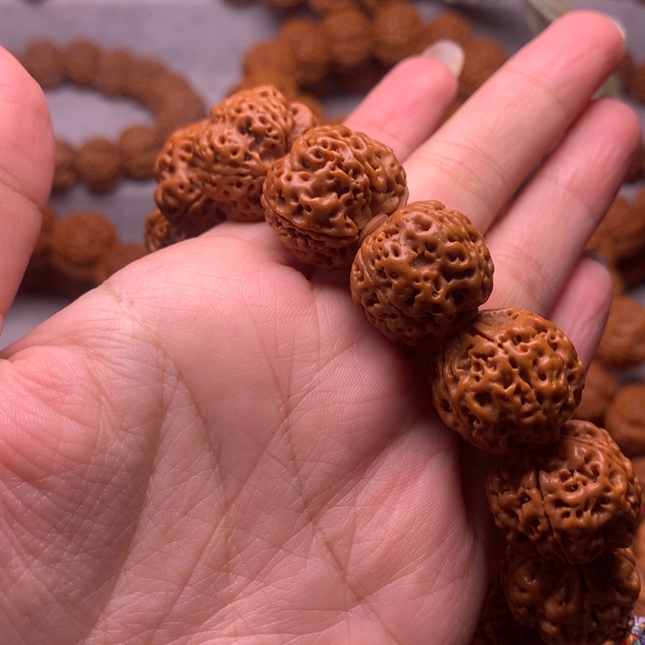 金***多手串金刚菩提0000000003