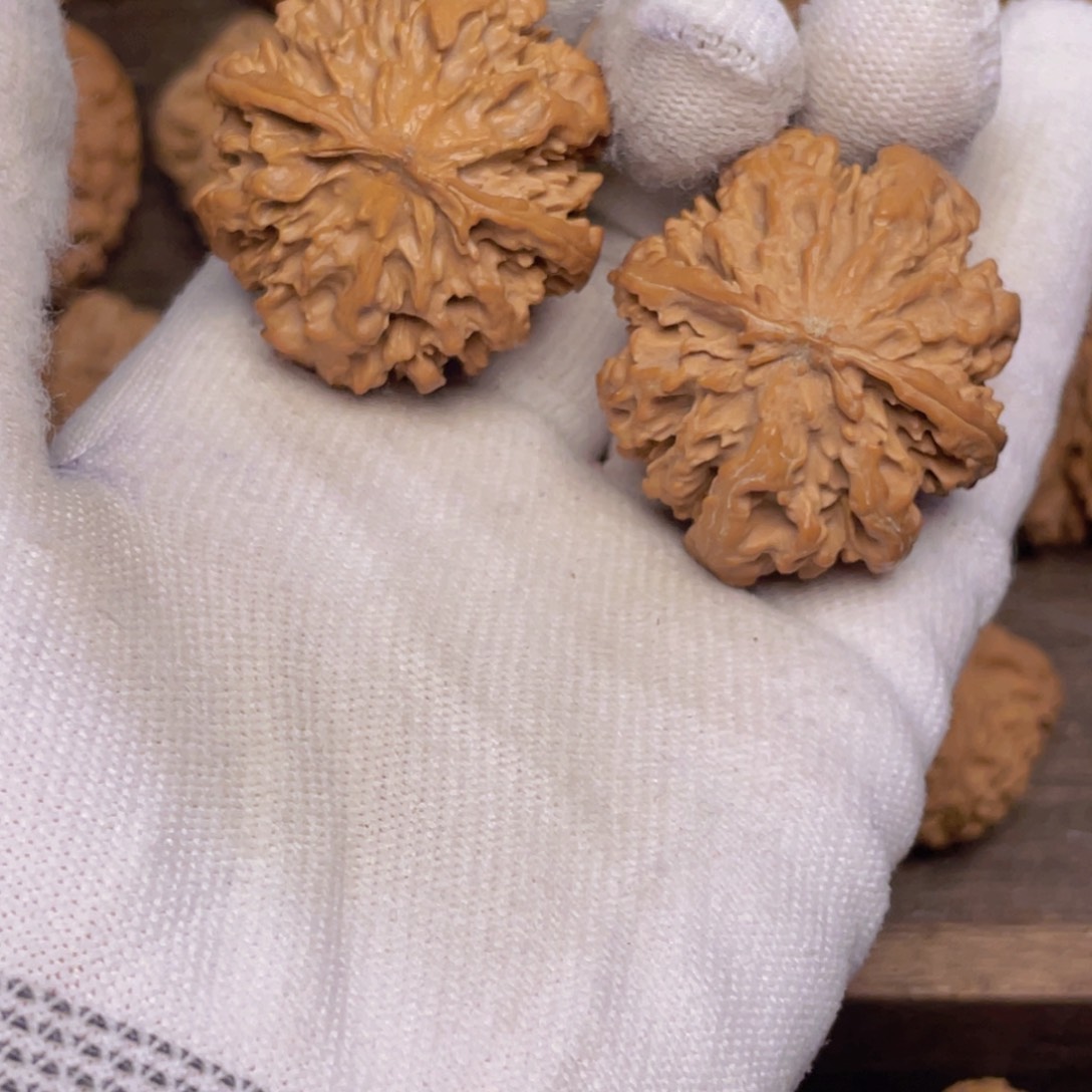 文玩核桃吊坠63 秦岭灯笼野生小众