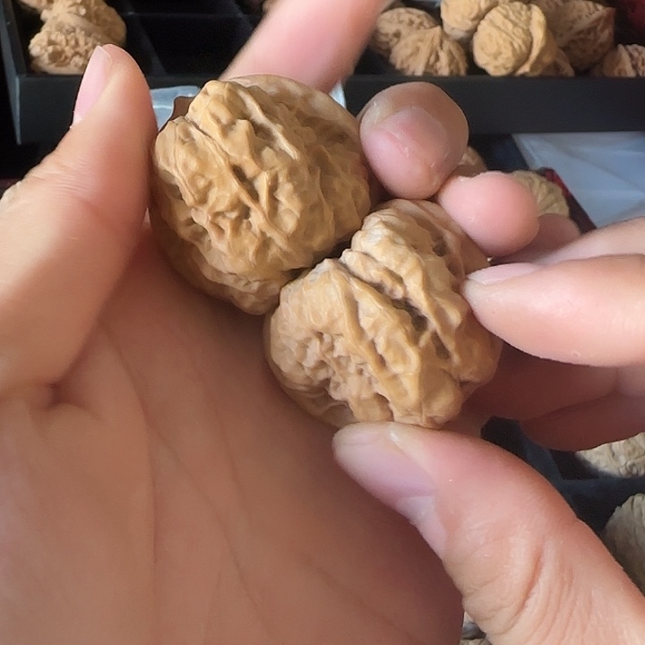 我***睡龙脊菩提吊坠啊啊啊啊啊啊啊蛤蟆31