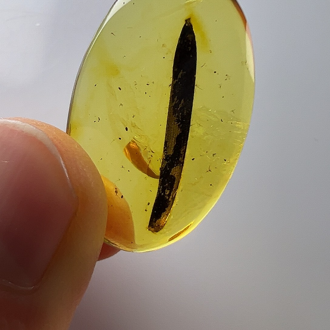 琥珀裸石未镶嵌琥珀植物珀