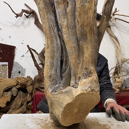 圣***常柏木我们都是好孩子