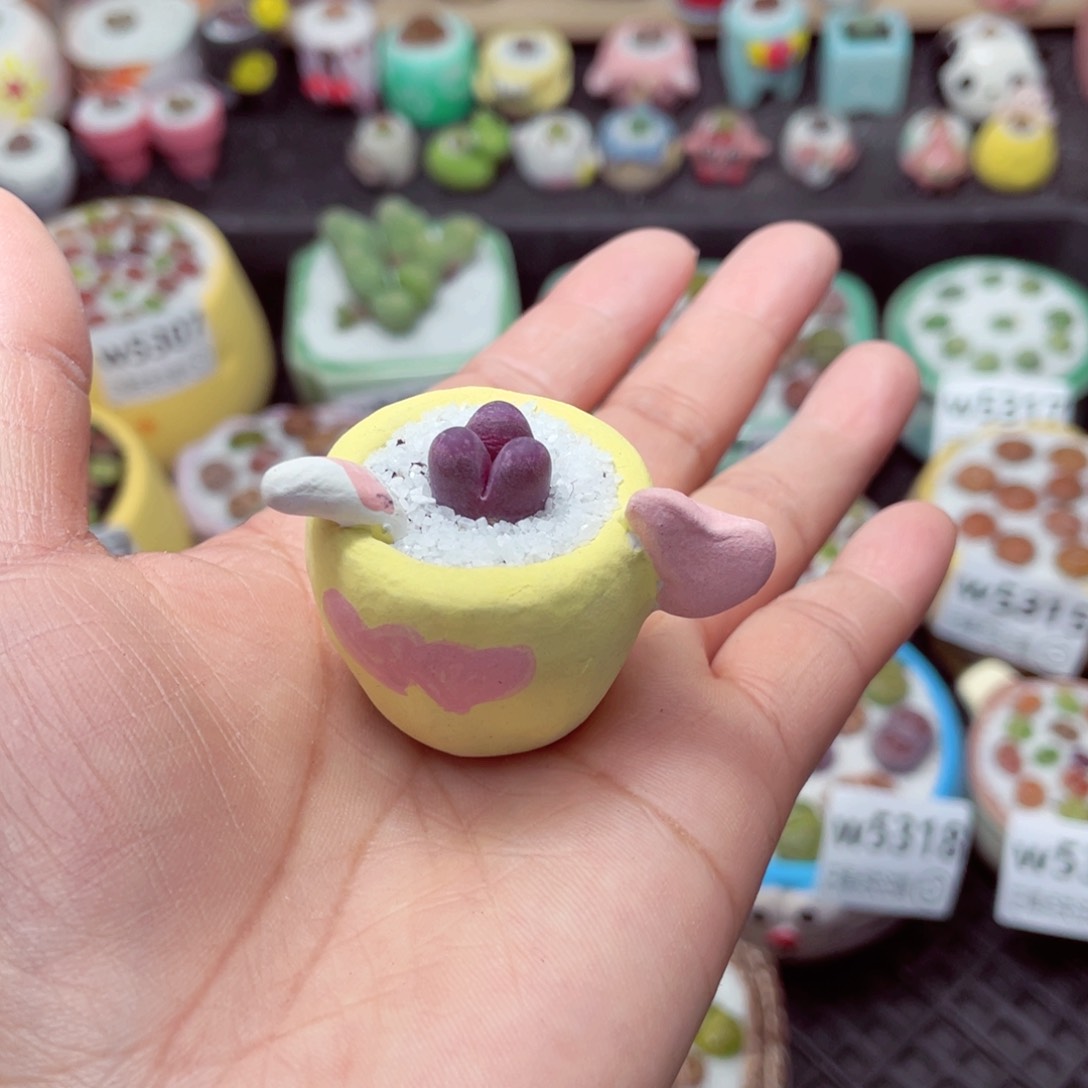 w5321 带盆土发货-零下地区拍保温箱