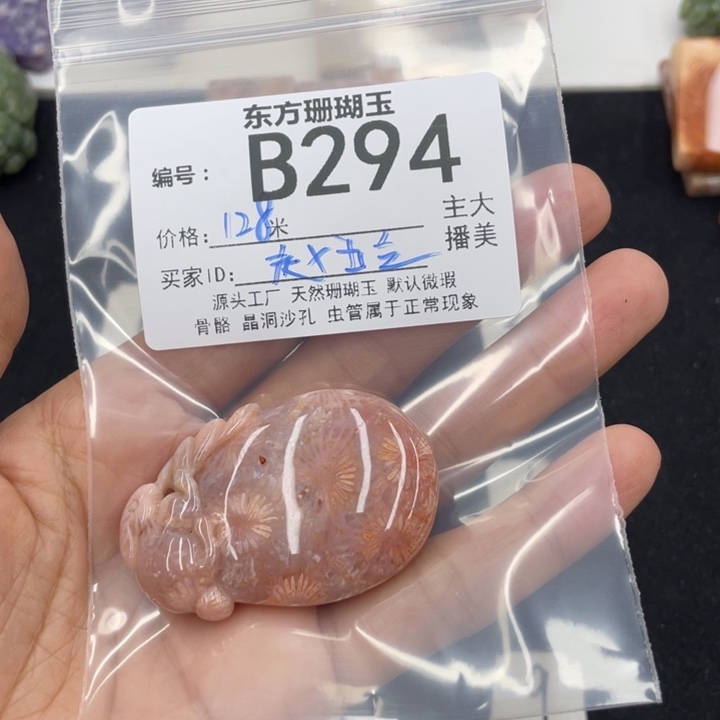 硅化珊瑚（珊瑚玉）颈饰合金赵*立