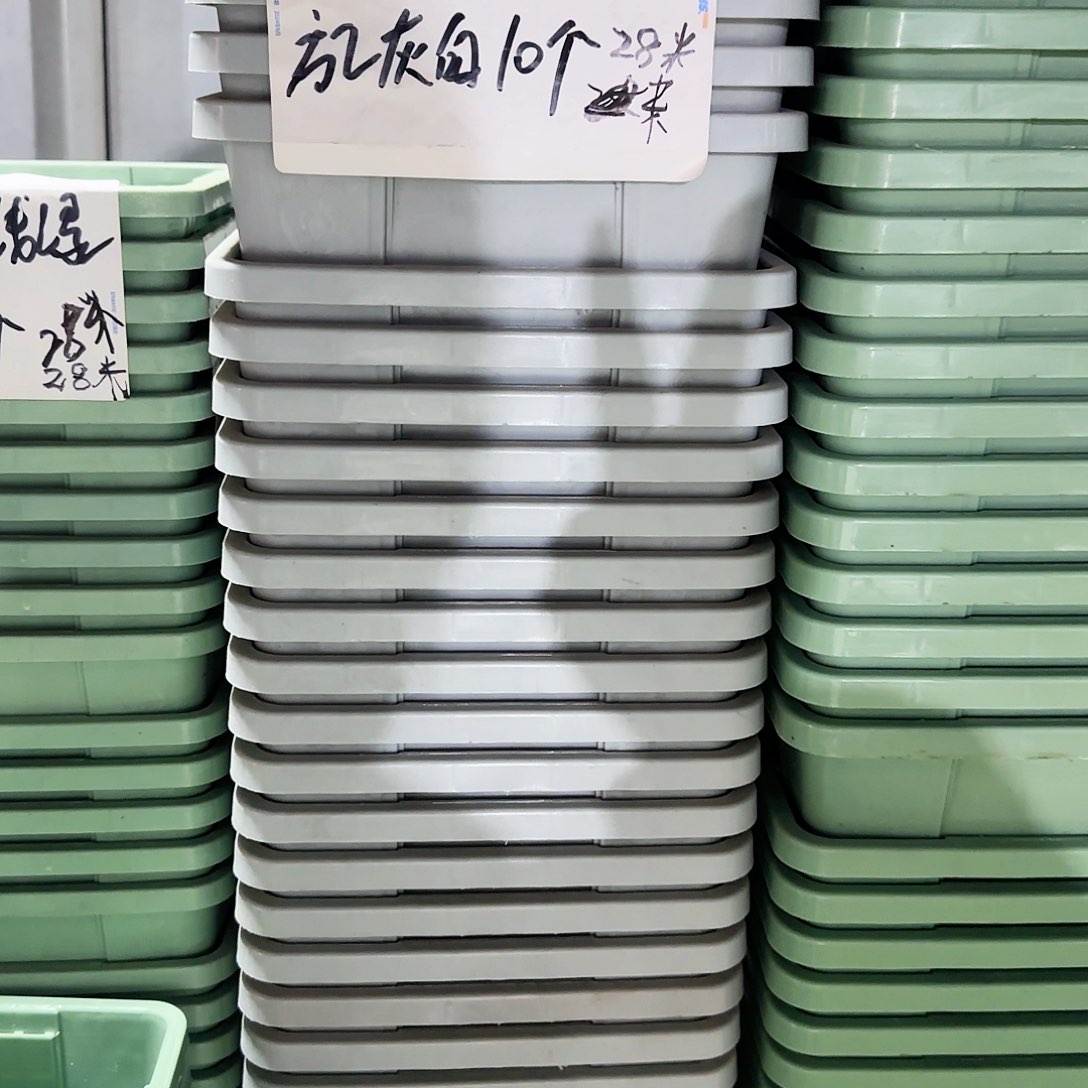 树脂编号203无拖10个