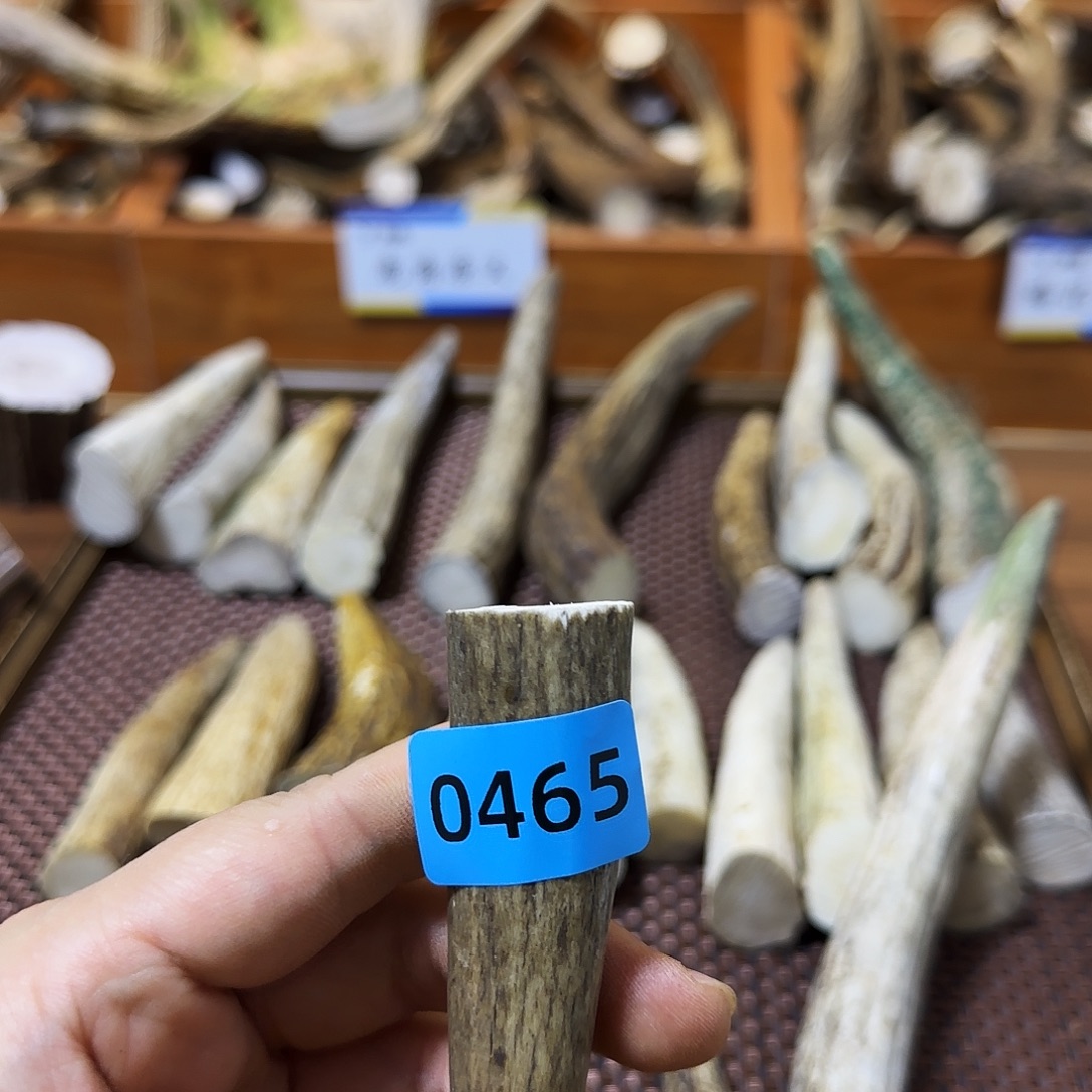 鹿骨手串/手链角尖0465