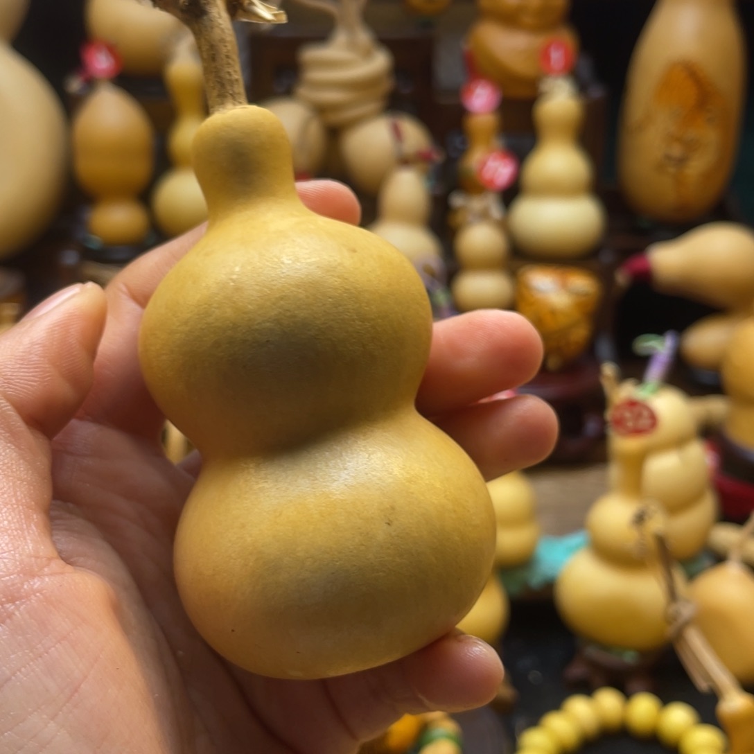 懿*大自然的秘密第十一节的秘密第二