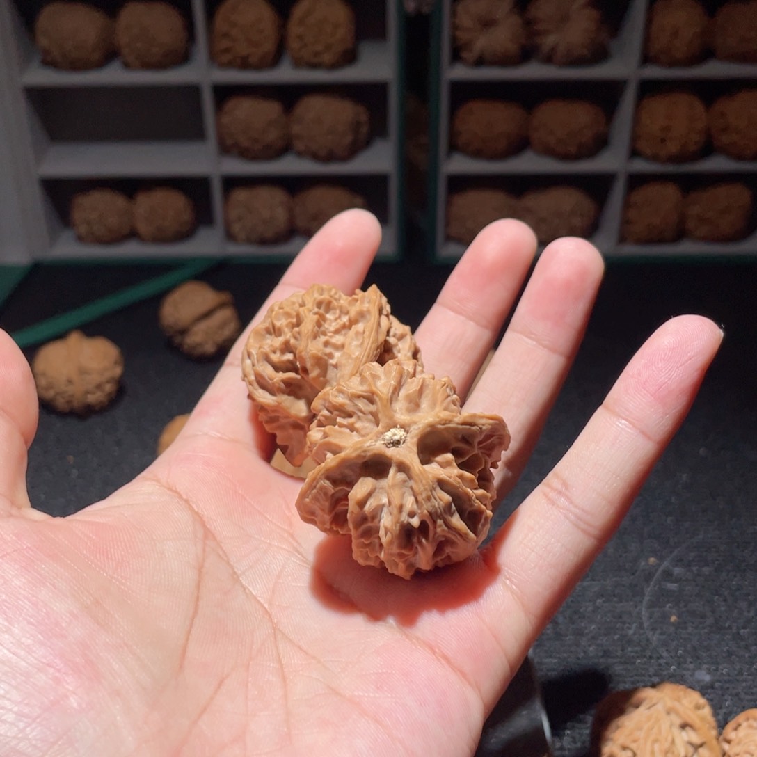 桃核把件T****e40王家坪一代苹果