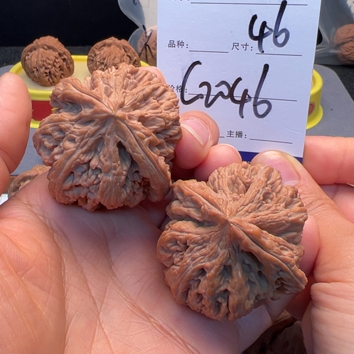 文玩核桃把件大粗筋C2046