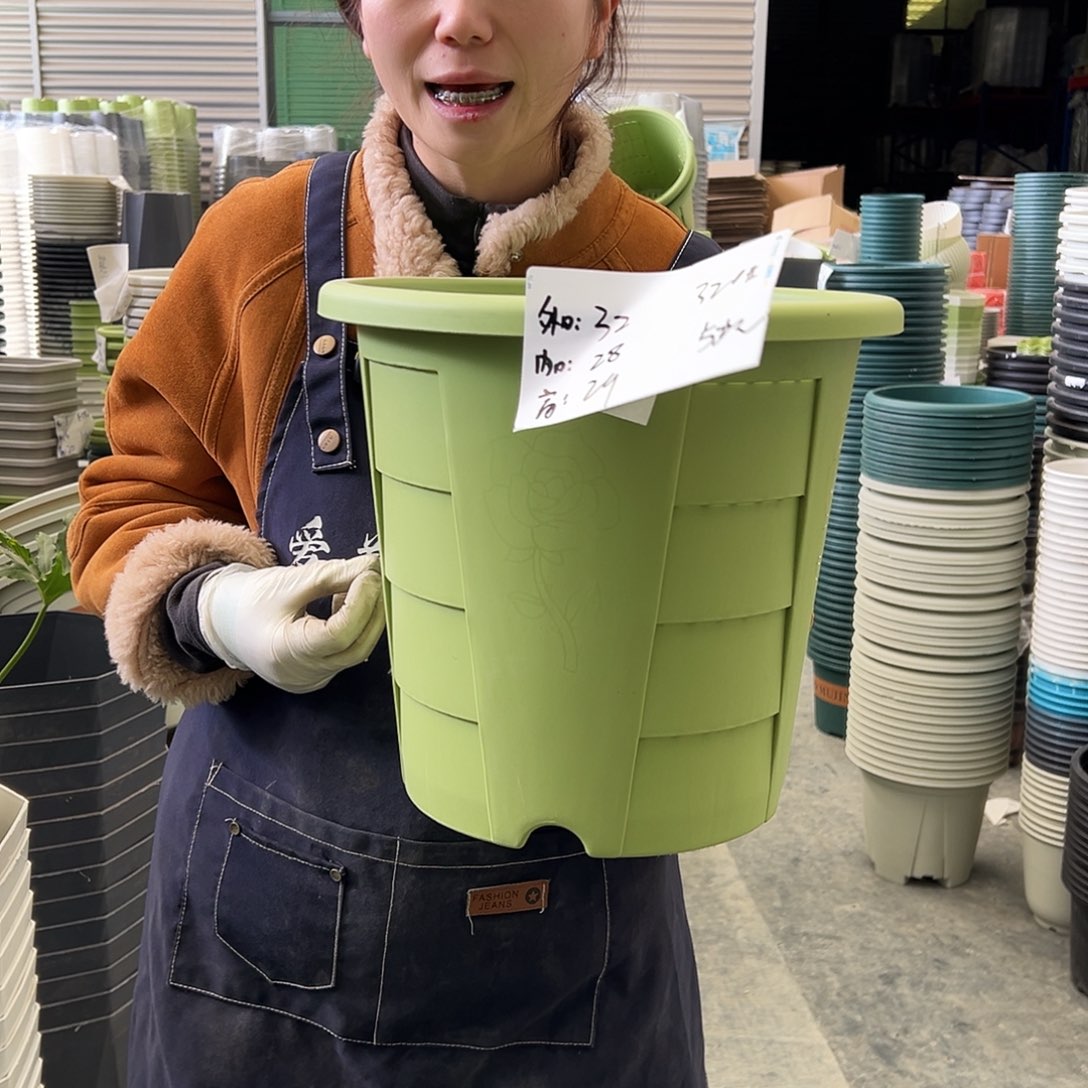 玫瑰盆320#果绿6个无托