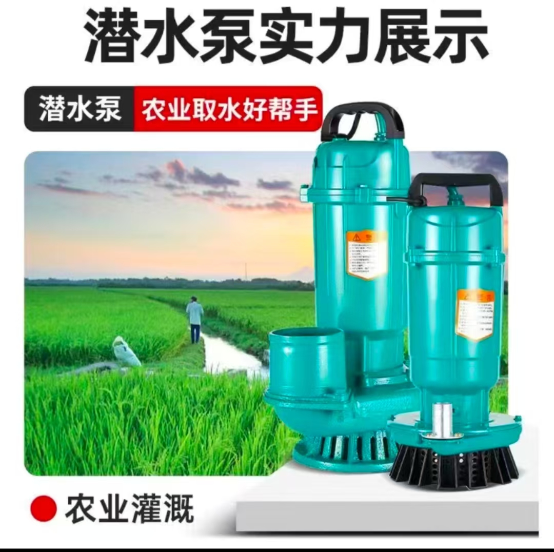 1寸550W潜水泵220v小型家用抽水机大口径大流量高扬程农用清水泵
