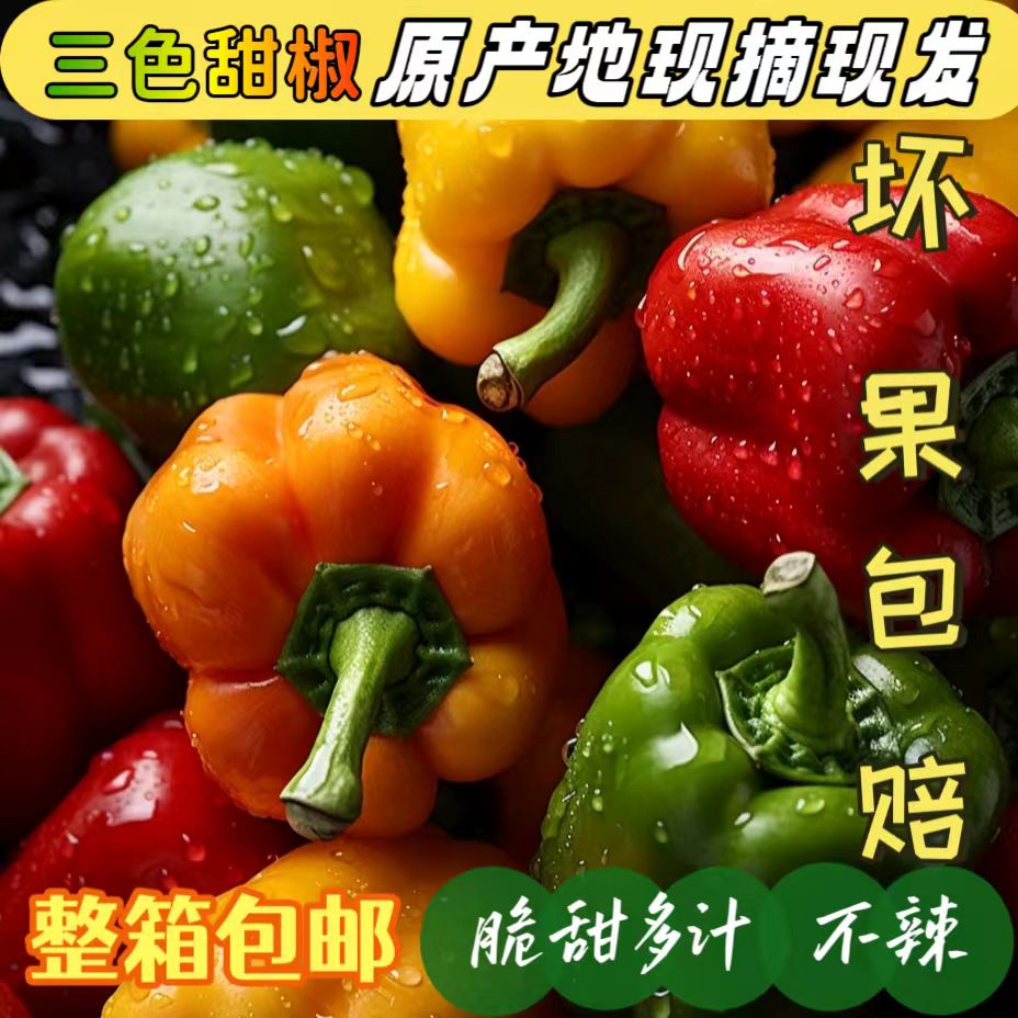新鲜采摘脆甜不辣三色彩椒现摘现发高维C代餐