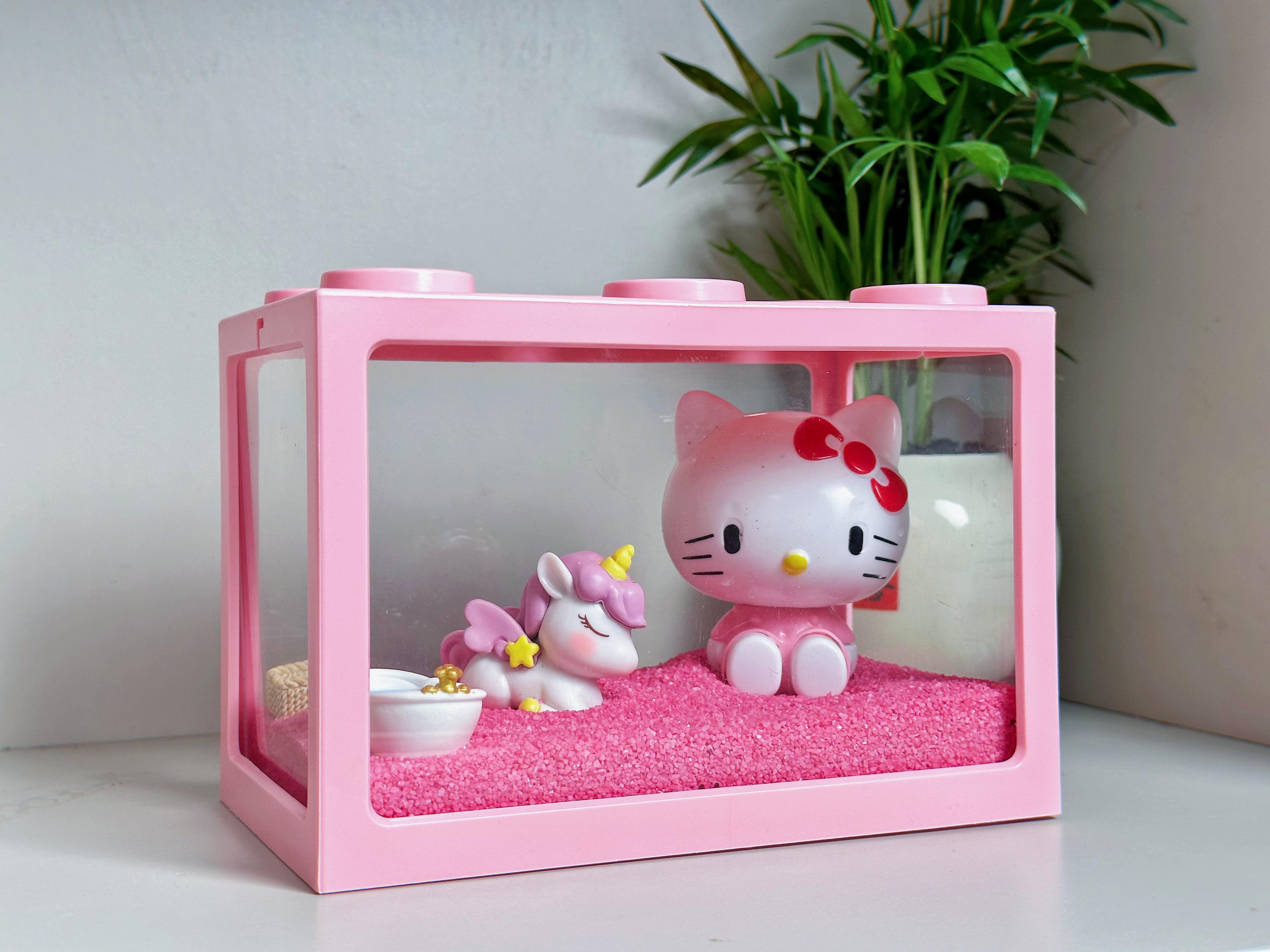 新手寄居蟹套餐饲养盒躲避屋