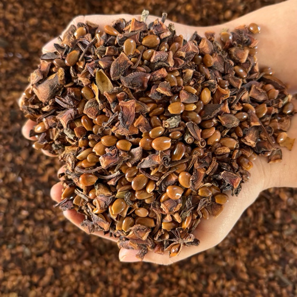 八角碎片 广西足干无硫碎桂皮香叶组合卤料火锅调味料大茴香