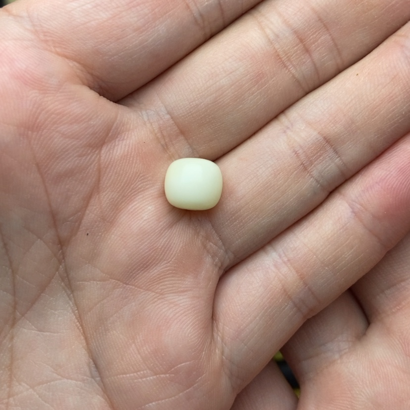 【闪购商品】琥珀珠宝奇石未镶嵌幸***朵