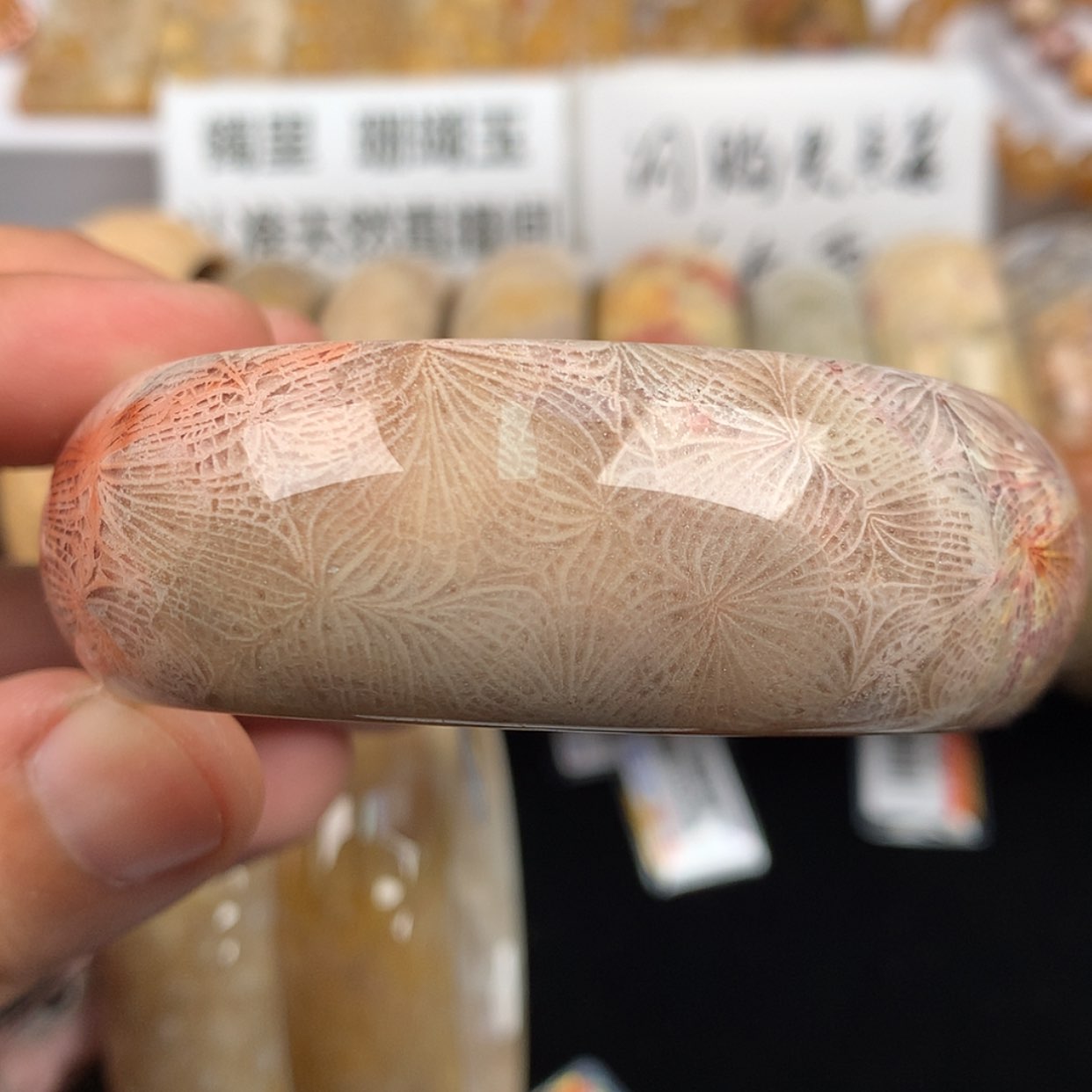 【闪购商品】硅化珊瑚（珊瑚玉）未镶嵌手镯54.9