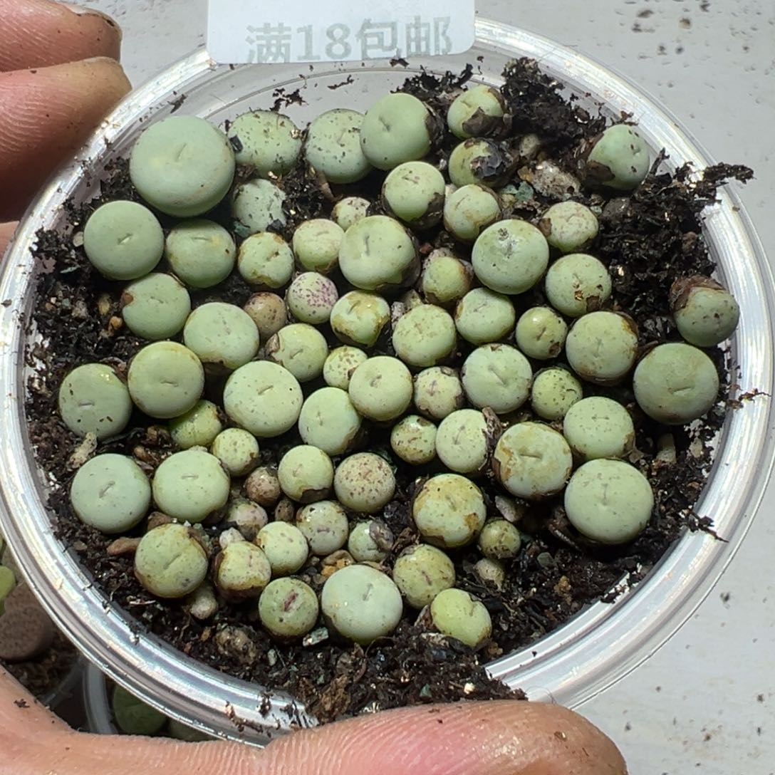 【闪购商品】 770。      