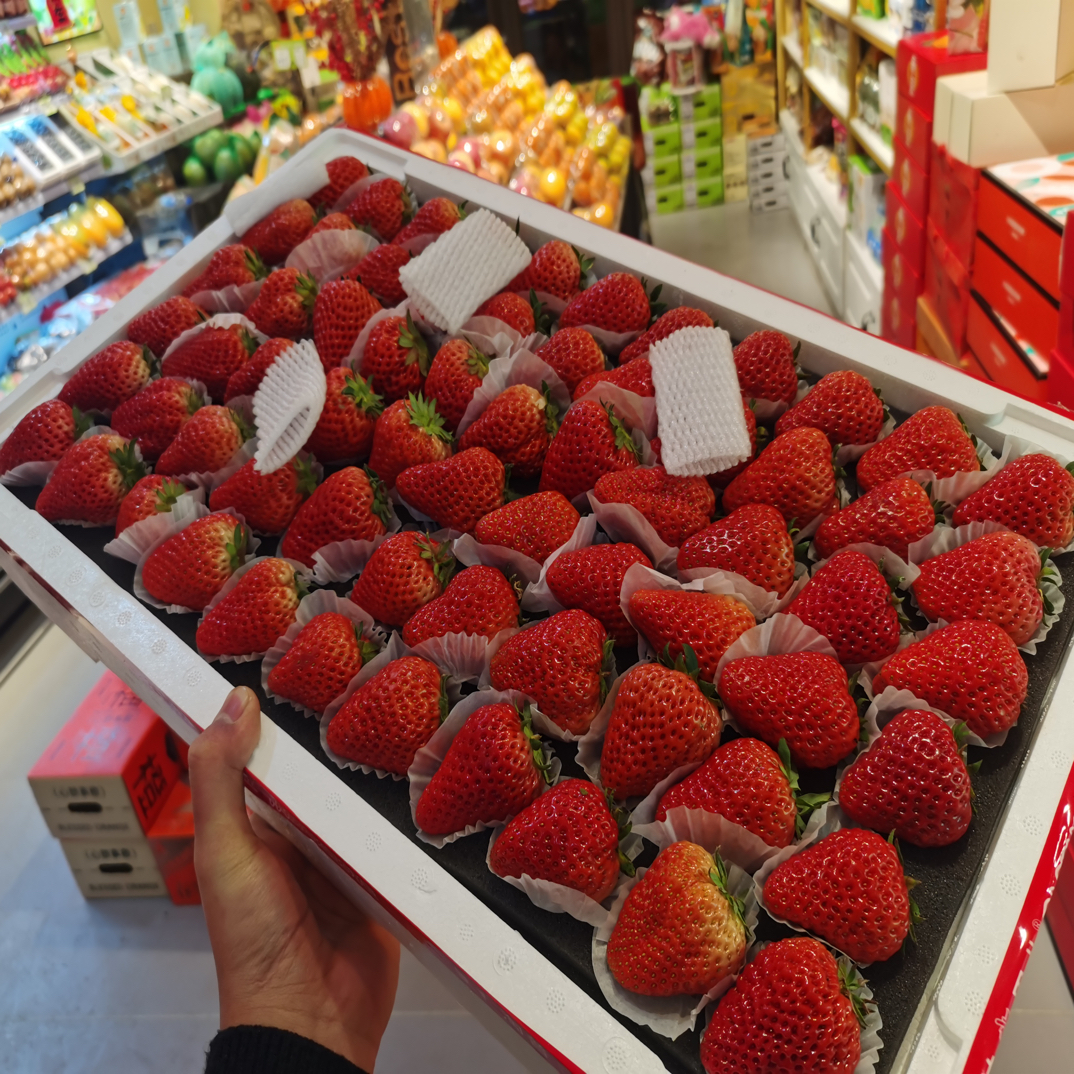 红颜香草莓 500g