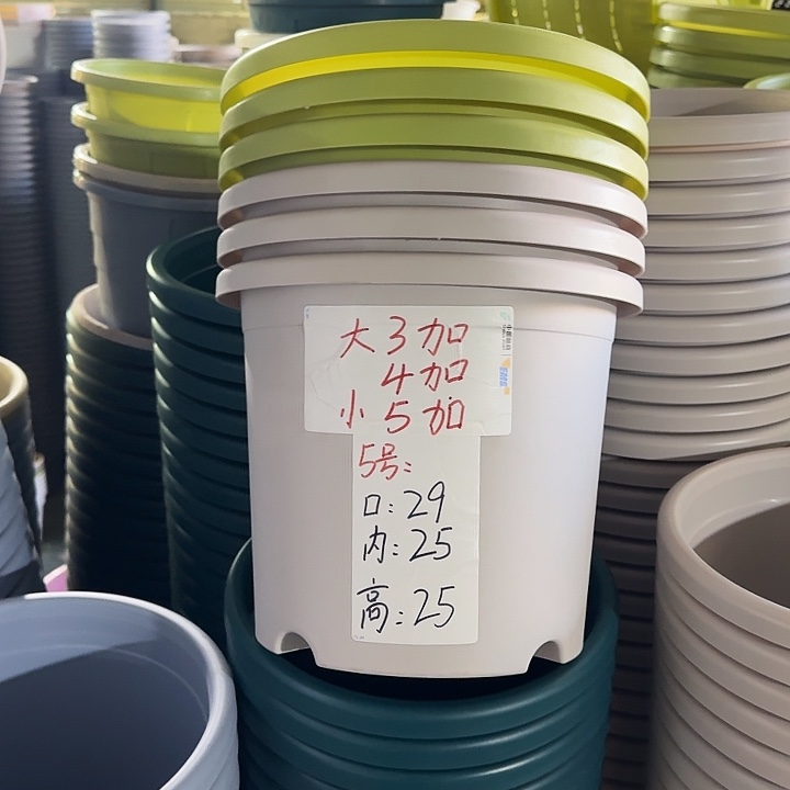 四季5#口径29灰白10个无托