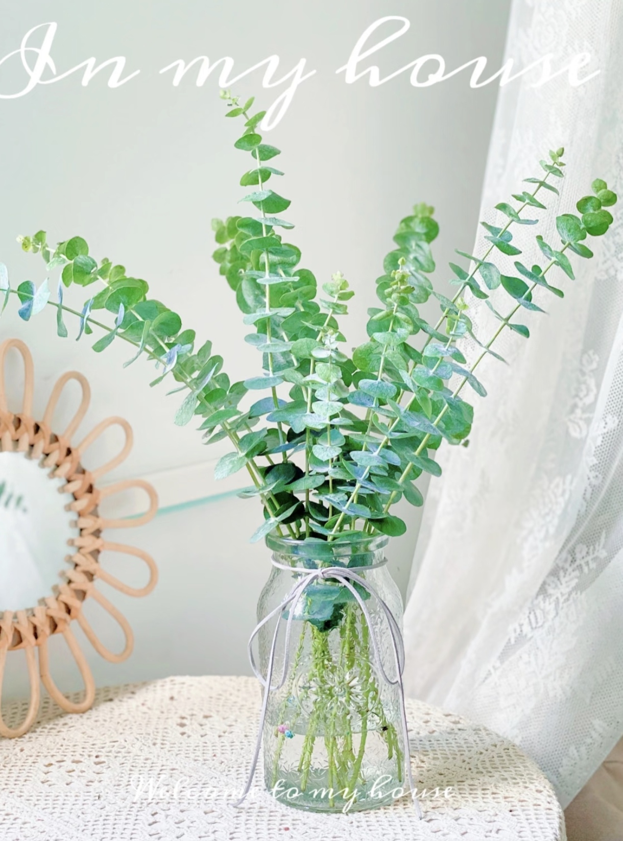 尤加利叶鲜花花材用于插花装饰办公室客厅的配草