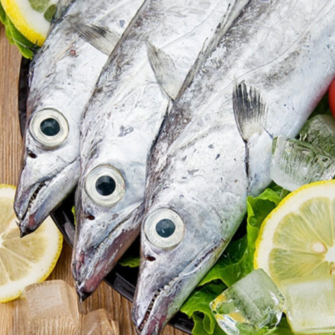 《4斤4条东海野生海捕流网大带鱼》海鲜水产，全国顺丰包邮