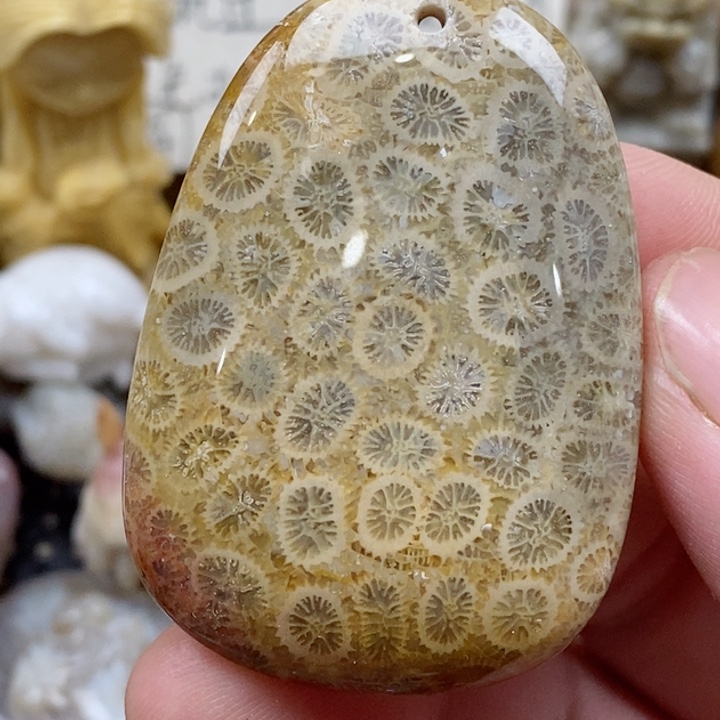 颈饰未镶嵌硅化珊瑚（珊瑚玉）