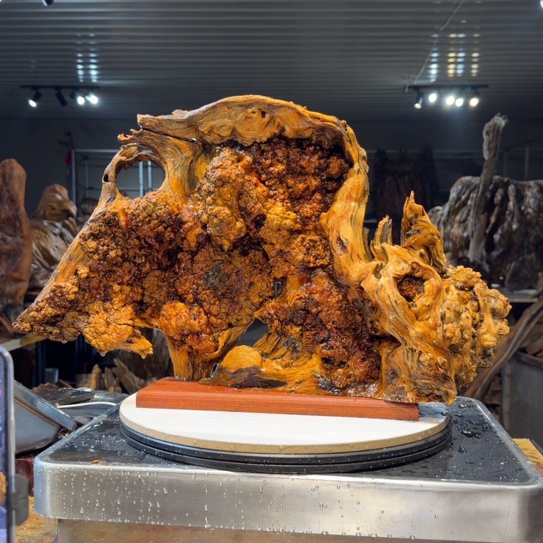 专***专木王一刀琥珀木摆件78