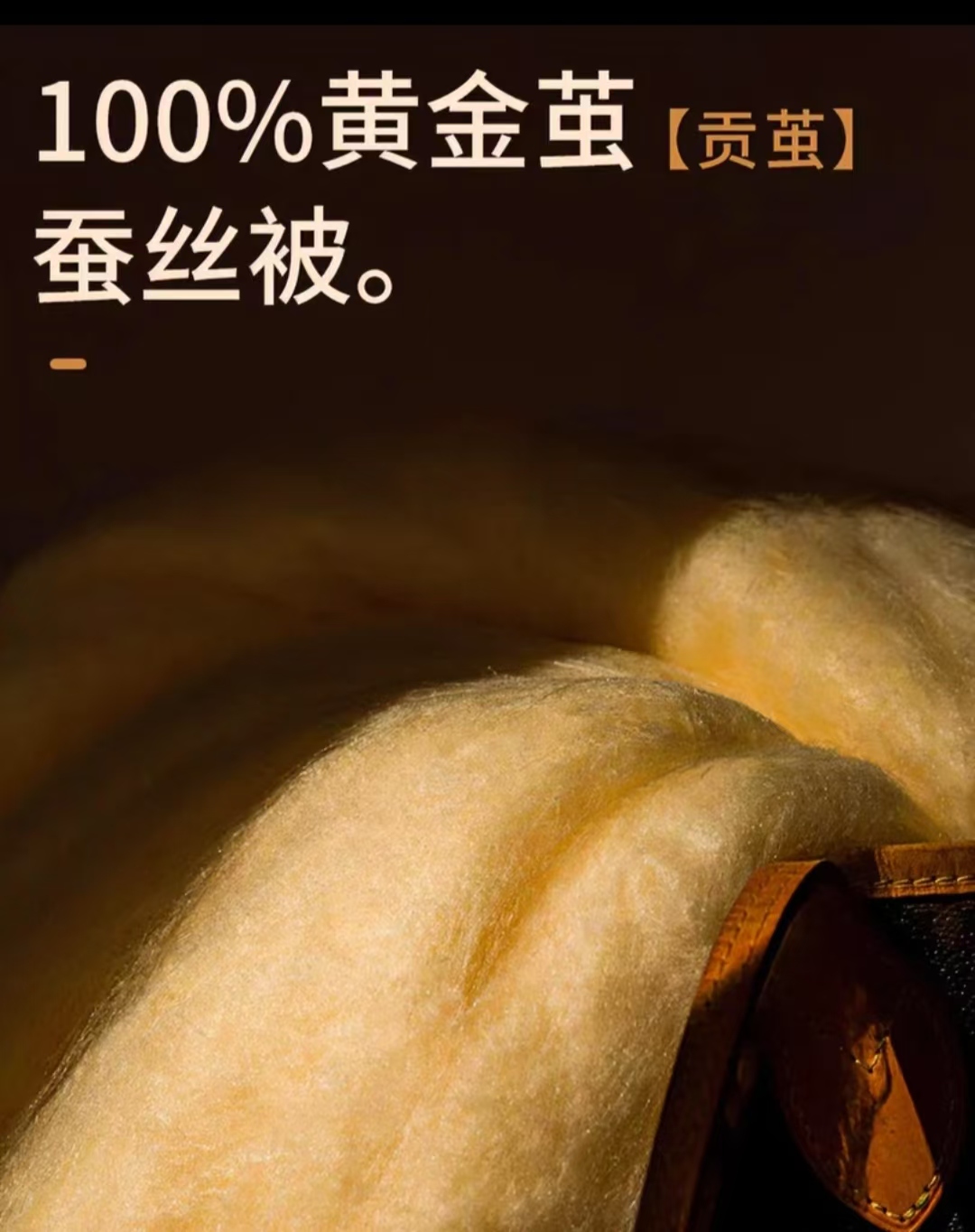 【绮梦】邂逅100%纯蚕丝黄金丝子母被双胎被