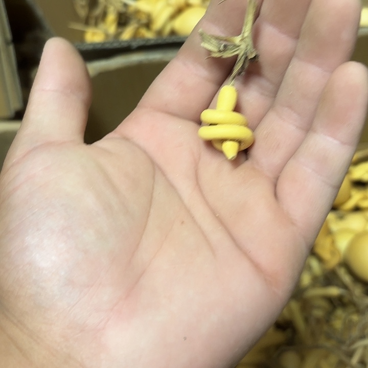 一把葫芦一把葫芦