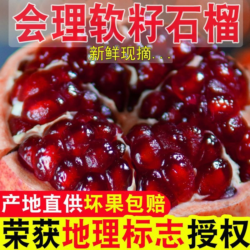 地标授权正品四川会理软籽石榴新鲜当季水果爆汁鲜甜好吃孕妇水果