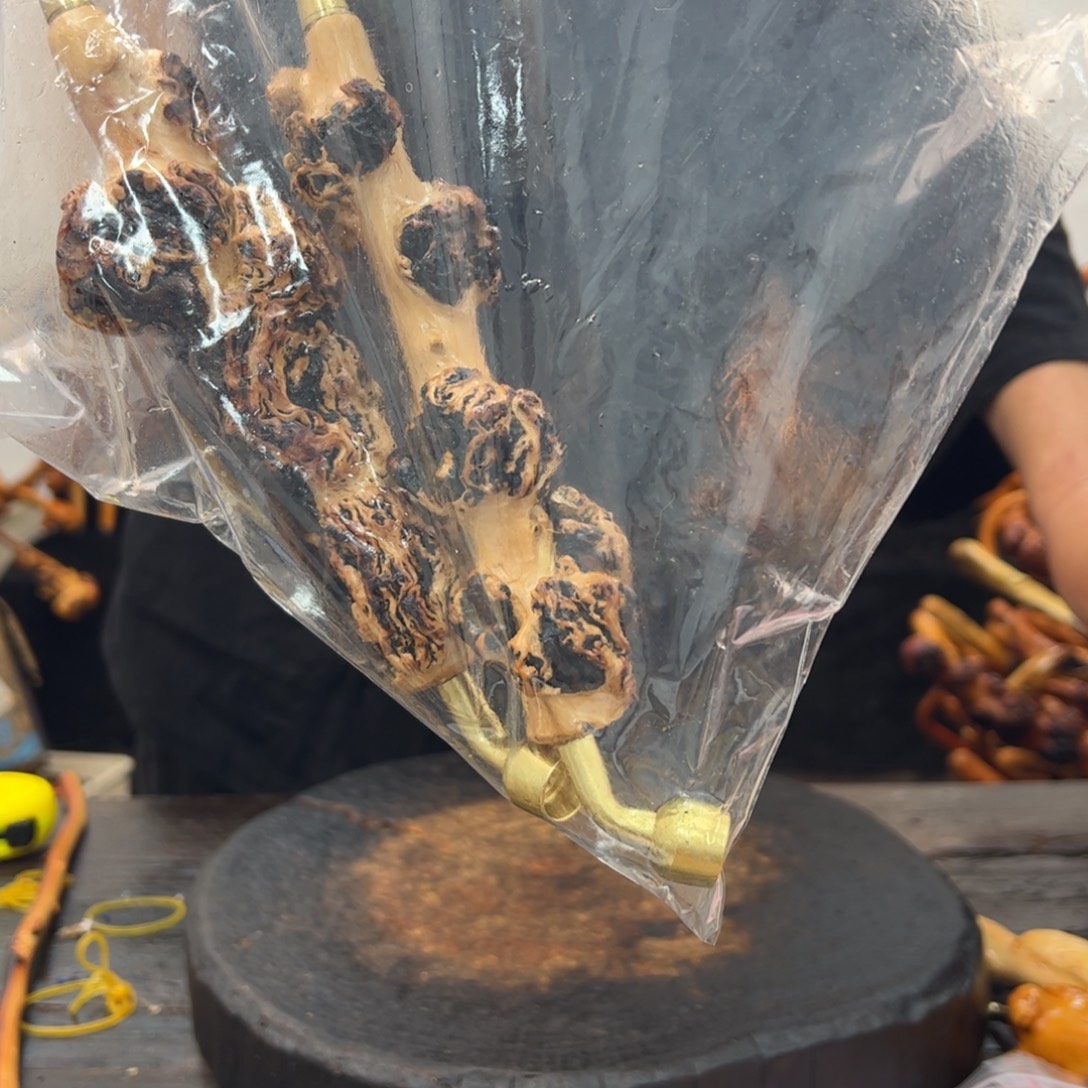 其他黑果木黑果木197