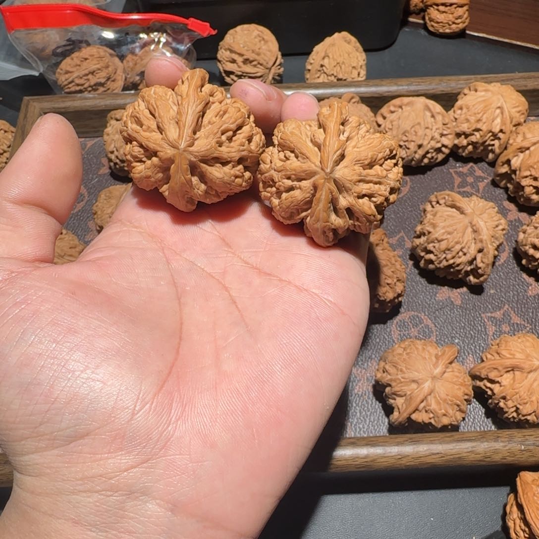 大粗筋全品无修 42尺寸