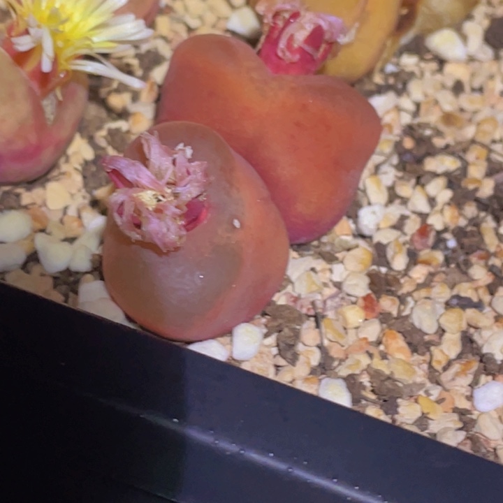 48800000 90 088898888888888