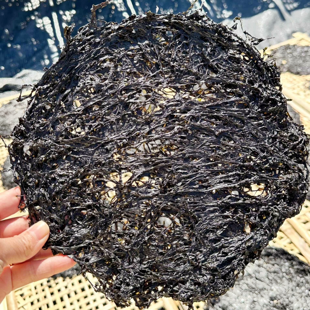 南澳畅海阁君姐-南澳头水紫菜 细嫩爽滑 营养丰富