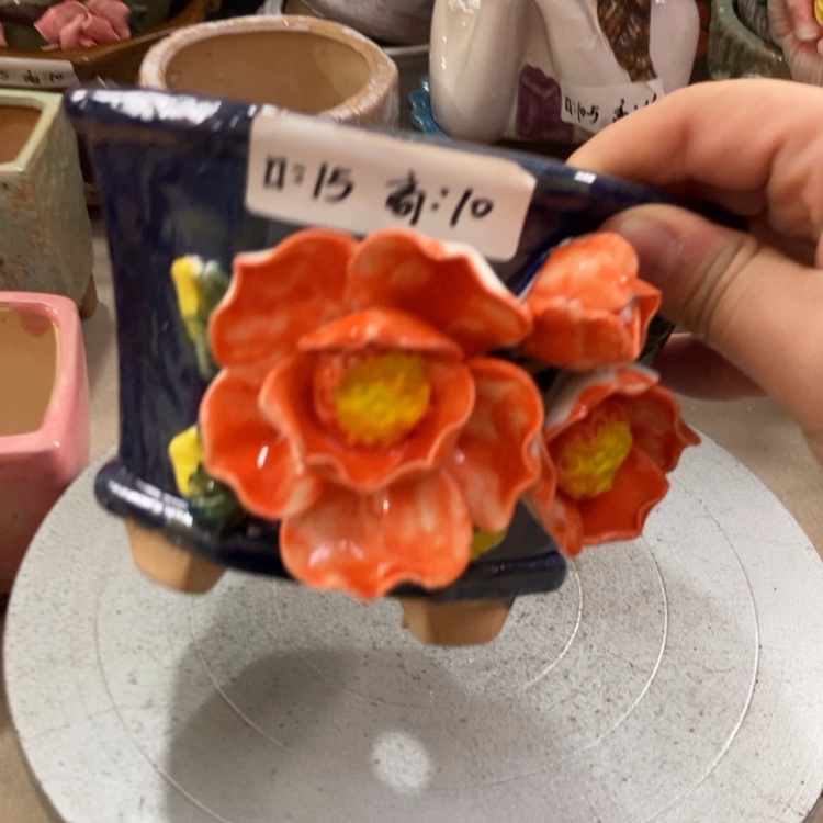 【闪购商品】红陶福利福利福利福利