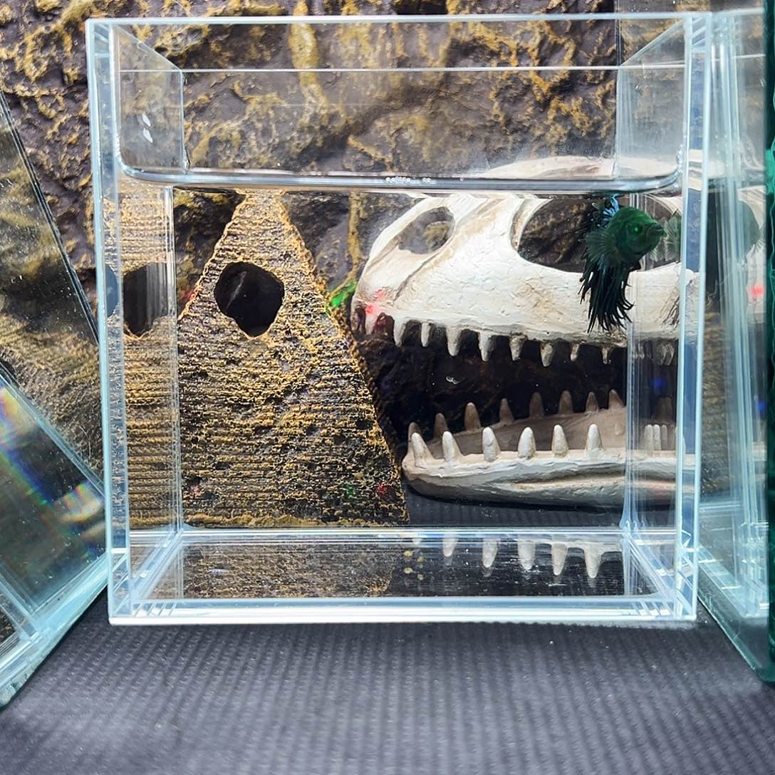 斗鱼精品精品精品精品精品