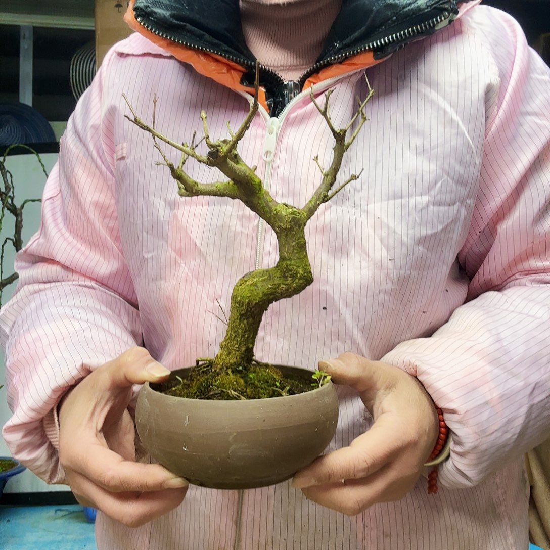 爱***啦无花朵地方干活季军季军看看