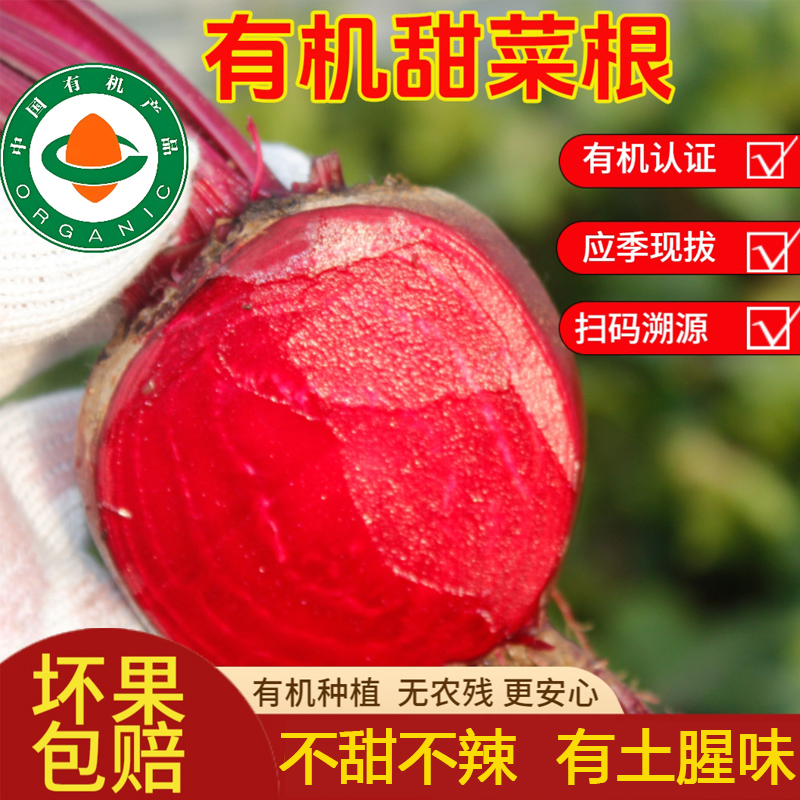 有机认证现拔新鲜甜菜根装现挖红菜头紫菜头火风果打汁农产品