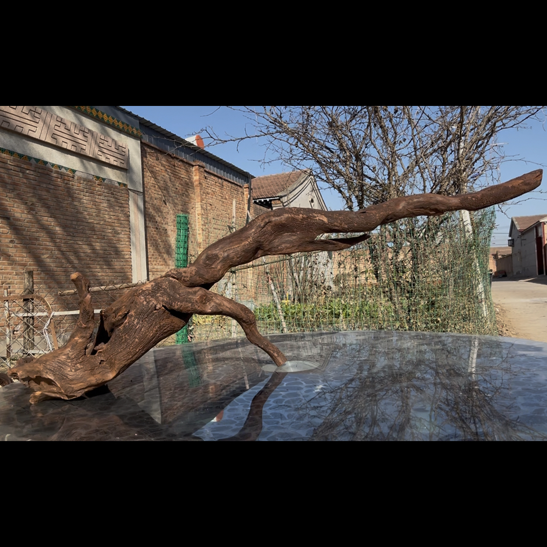 尺寸：150✖️30✖️46，鱼缸造景沉木摆件，紫柚木，秒沉水，包煮，南美缸