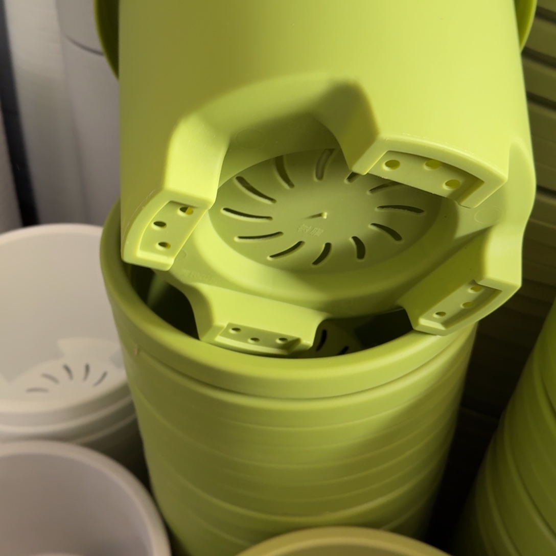 球根4#口径32无拖果绿5个