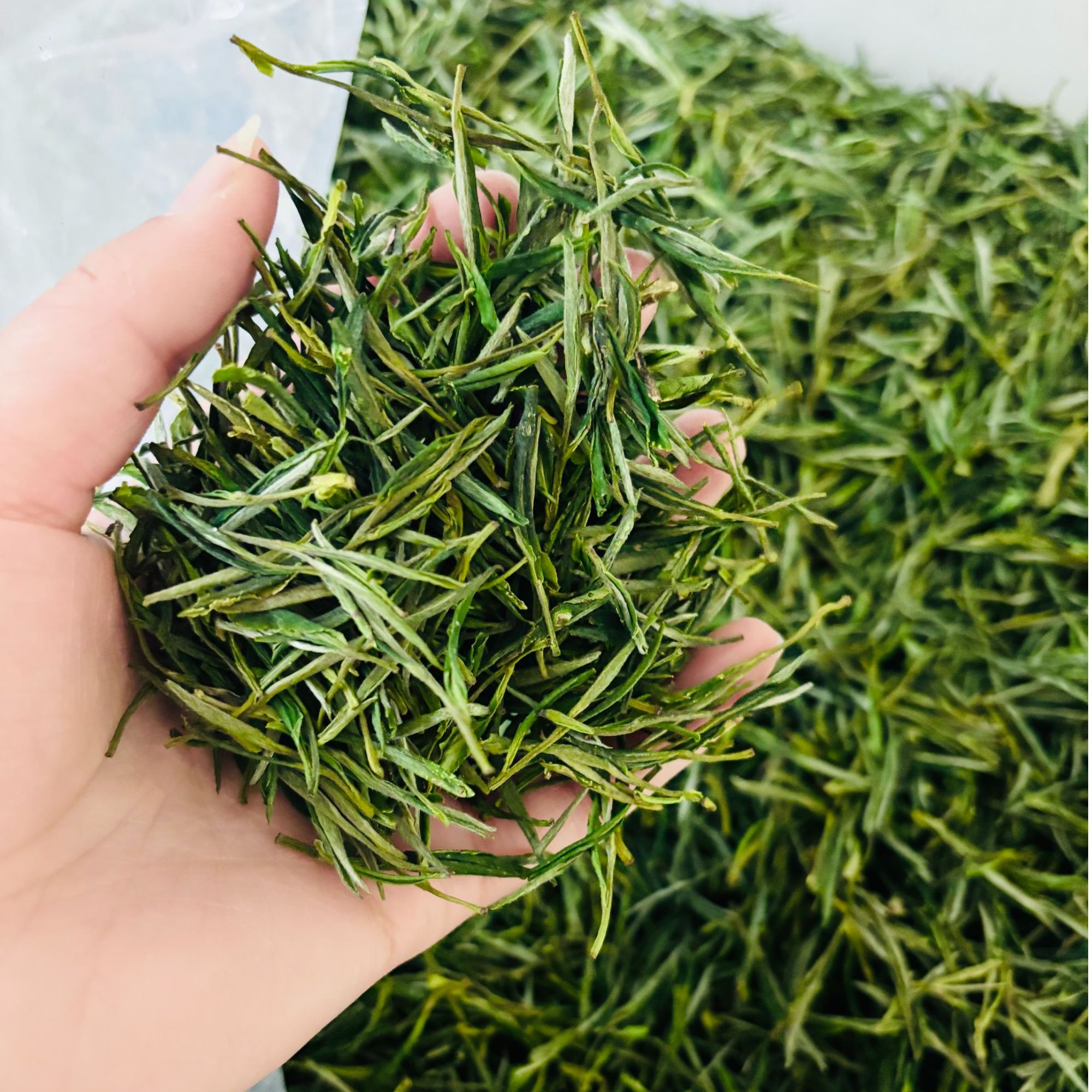 2025年正宗黄山毛峰土种云雾茶新茶兰花香茶叶鲜爽回甘（1号）