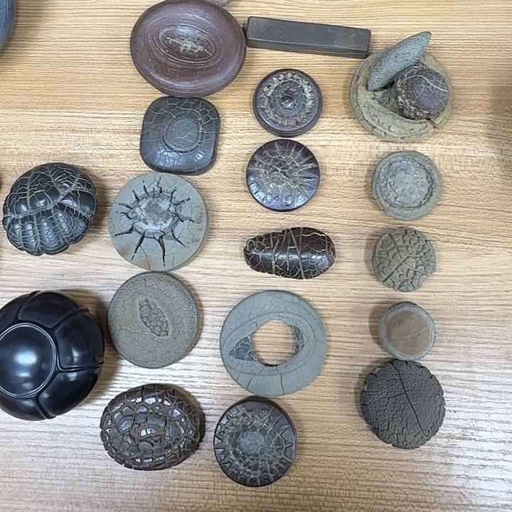 新***师石材龟纹石，玲珑石