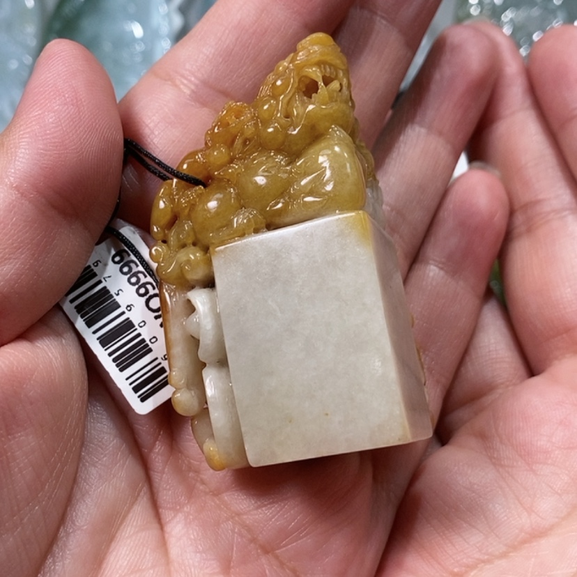 【闪购商品】翡翠颈饰未镶嵌苦****闲。