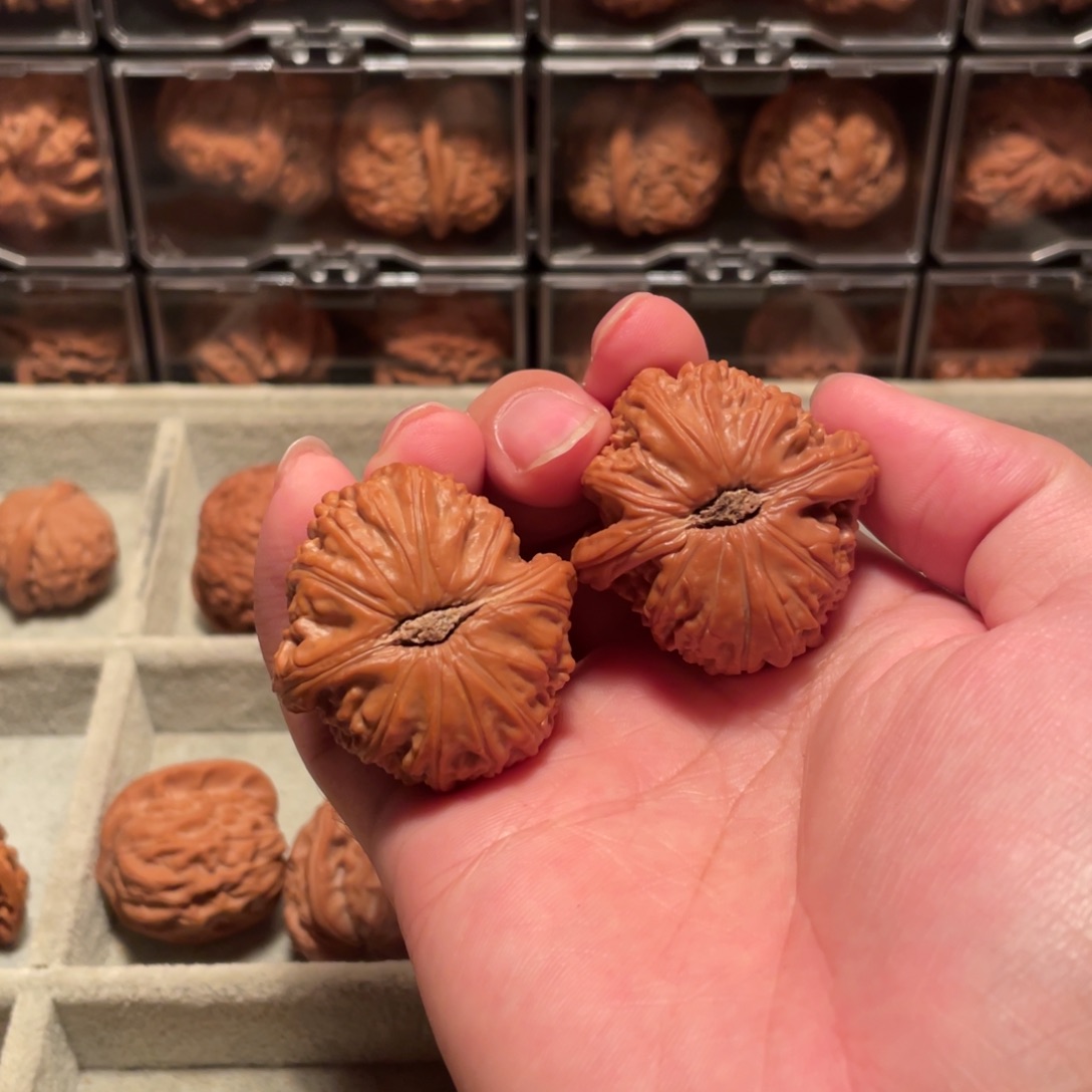 我***舅把件文玩核桃白狮子40