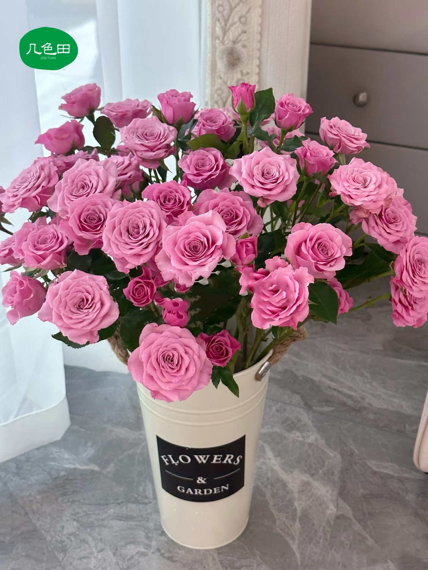 诺拉----多头玫瑰云南直发鲜花云南花插花鲜花