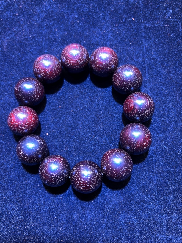 2.0特爆金星 一条毕业