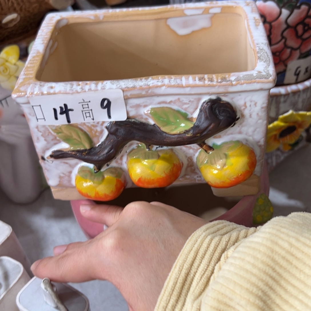 花盆，拍满20发货，退款拉黑