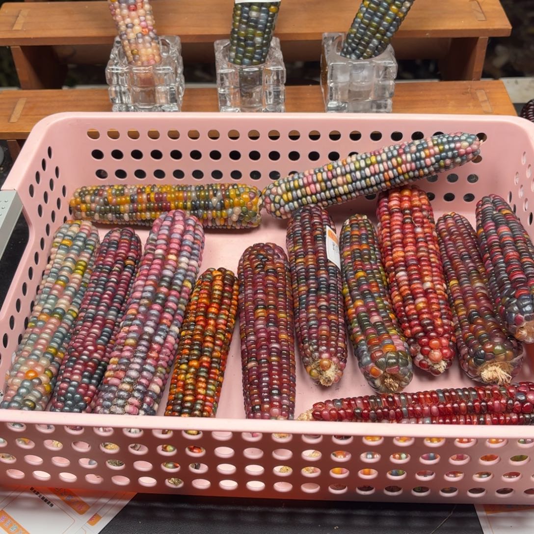 R****银S925我我我我我我我我我