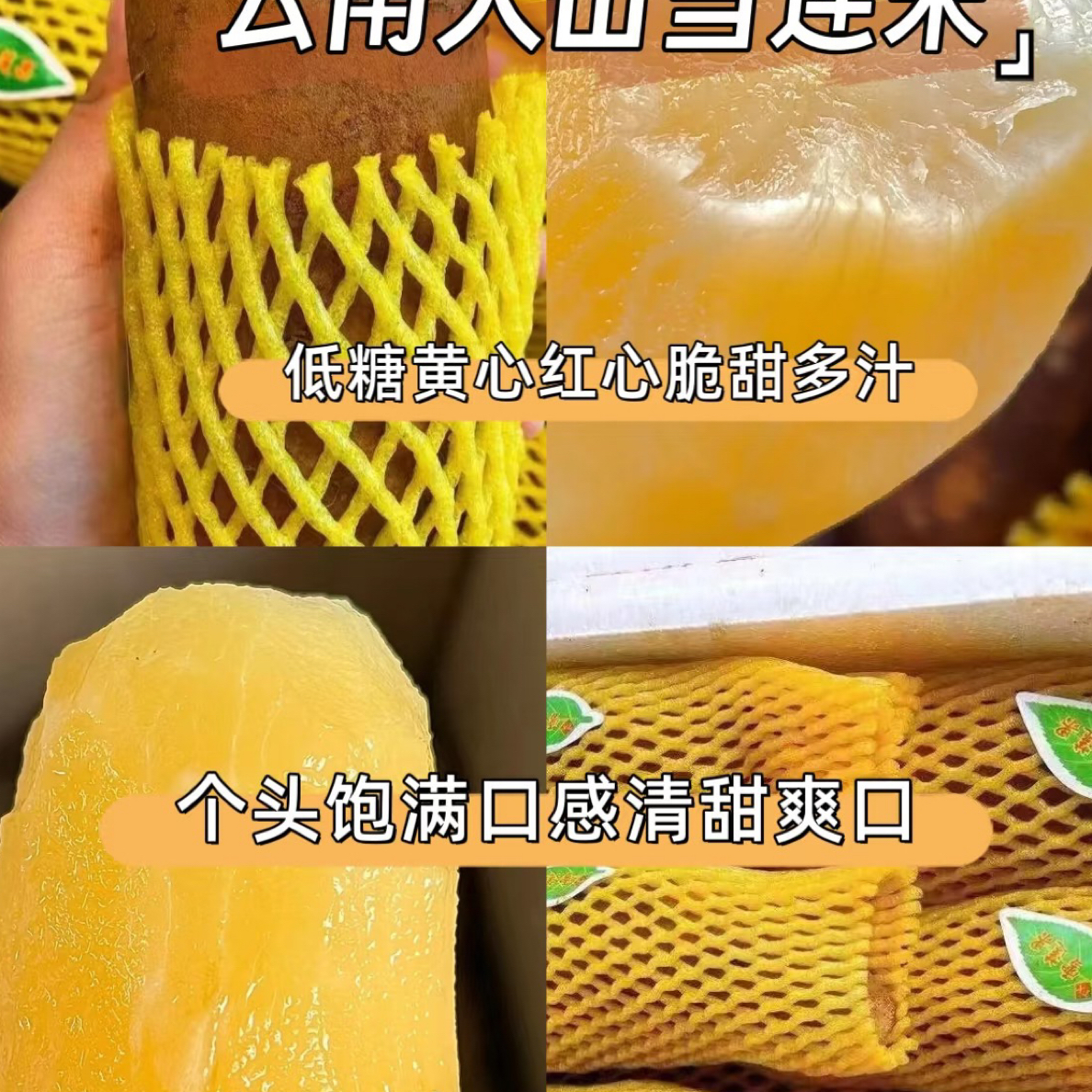 【云南红泥沙雪莲果①箱】5斤左右，惊爆价秒杀